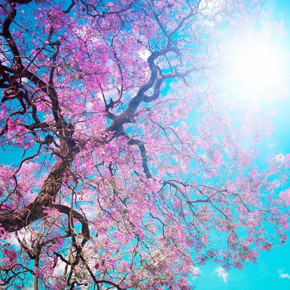 Meet your Posher, Crystal - Picture 2 of 2